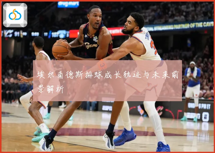 埃尔南德斯排球成长轨迹与未来前景解析