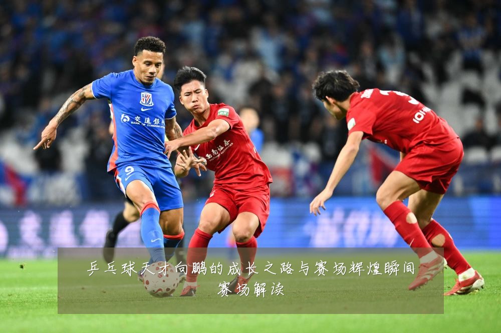 乒乓球天才向鹏的成长之路与赛场辉煌瞬间赛场解读
